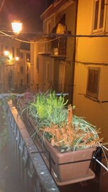 Da Fofo' in Campobasso