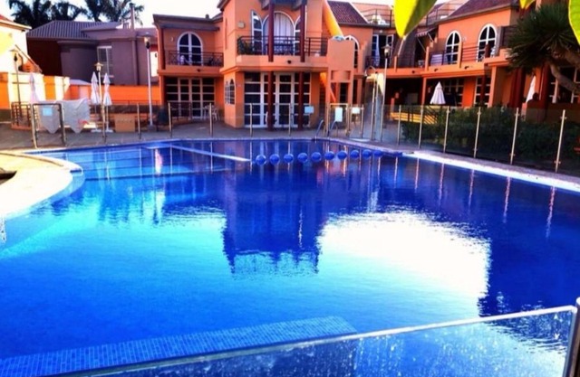 DAHLIA Palmeral Oasis