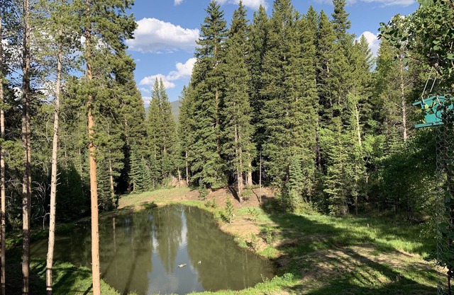 DAILY WILDLIFE - BEAR, MOOSE, DEER - 3BR/3BA - SKI IN/SKI OUT - EARLY CHECKIN