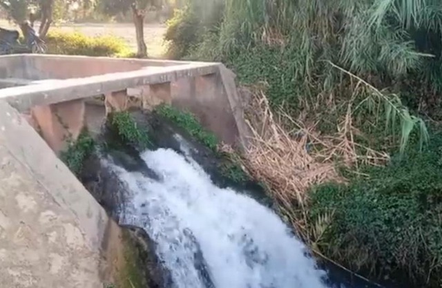 DAR RACHIDA