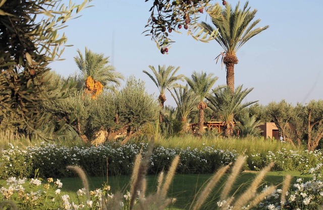 DarToozween, chic and comfortable farmhouse in the Marrakech countryside