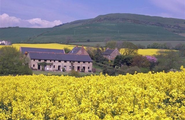 Delightful country cottage. Stunning views. A few minutes walk to Seatown beach