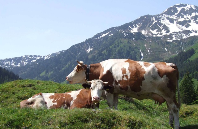 Deluxe Double Room Markbachjoch with Breakfast - Hotel Schneeberger