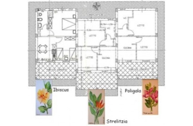 Deluxe three-room apartments - Strelitzia - at Le Casette sul Mare