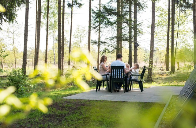 Detached bungalow with WiFi, located at Park De Veluwe