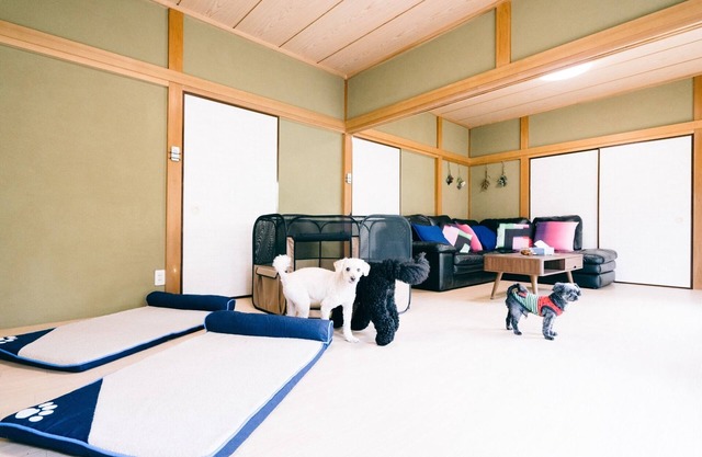 Detached private guest house with dog run nonsmo/Sambu-gun Chiba