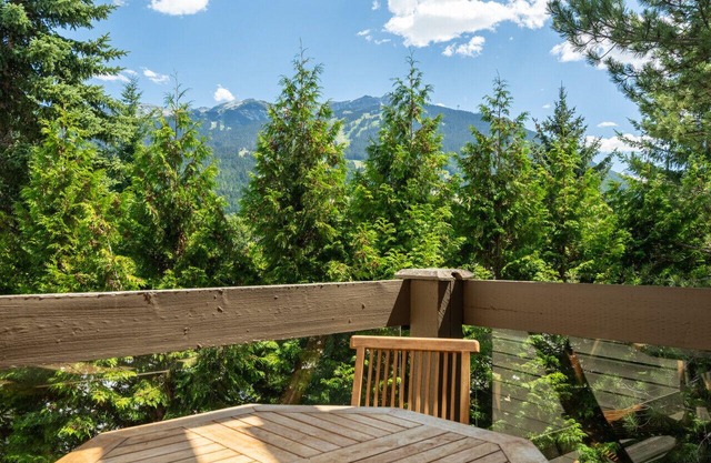 Digital nomad's heaven near village