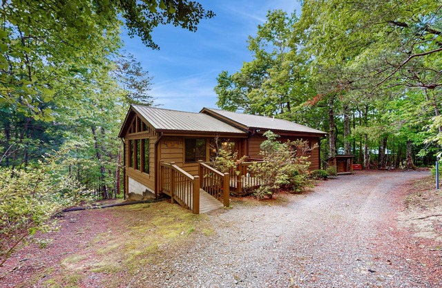 Dog-friendly cabin with private grill, full kitchen, and foosball