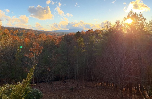 ♦︎Dog friendly cabin with hot tub and gorgeous view of the Blue Ridge Mountains