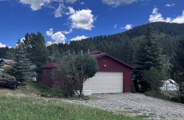 Dog-friendly house close to trails, fishing pond and National Forest