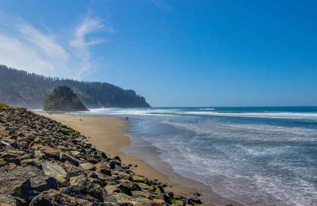Dog-friendly oceanfront condo with amazing ocean views - steps to beach
