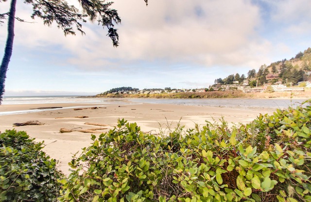 Dog-Friendly Oceanfront Suite with Beautiful Views, Free WiFi, and Cheery Decor