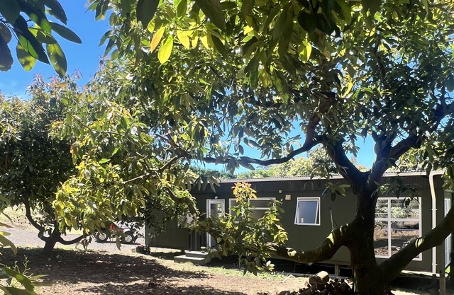 Dog friendly, rural, close to beaches, cafes, bush walks and golf courses
