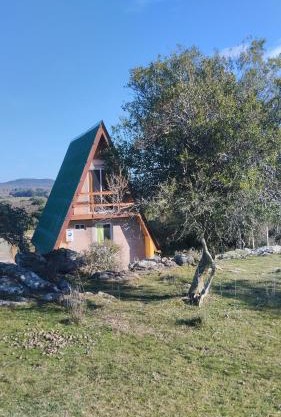 Don Cleto "La Mimosa"