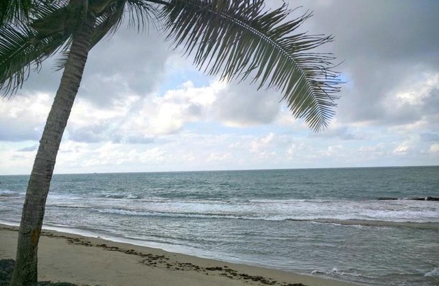 Dorado Beach Condo
