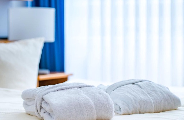 Double Room - Hotel an der Therme Bad Sulza - House 1