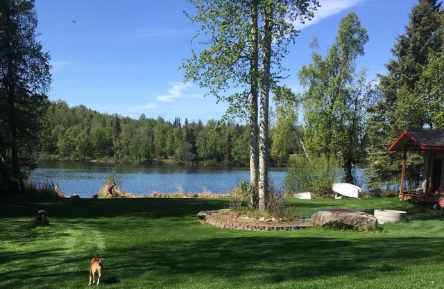Dragonfly on the Lake 1, Sauna, Canoeing, Paddle-boards, Fishing