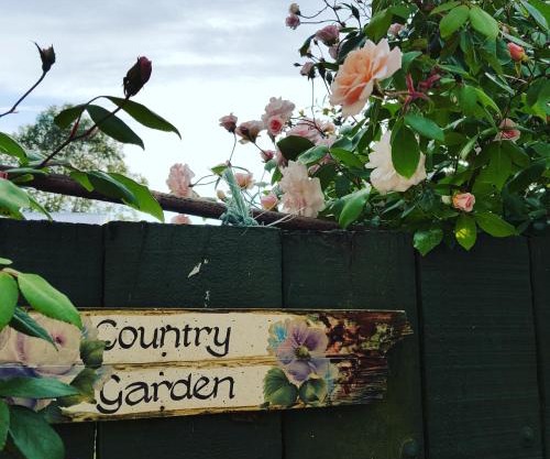 Dragonflycottagebnb