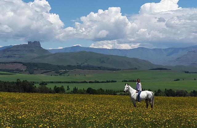 Dragons Landing Guest Farm