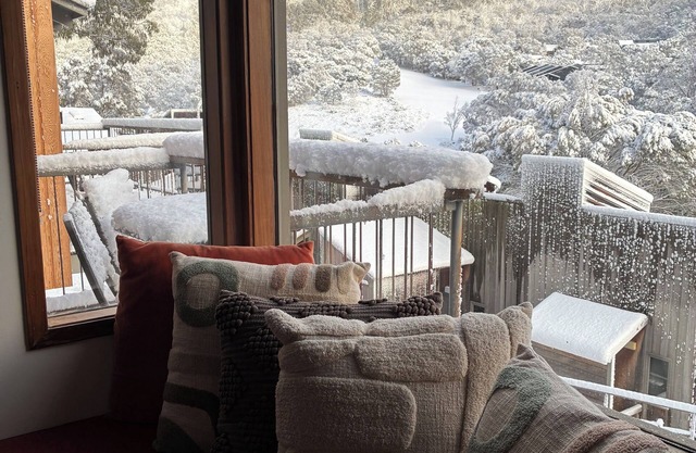 Driftwood by the Snow