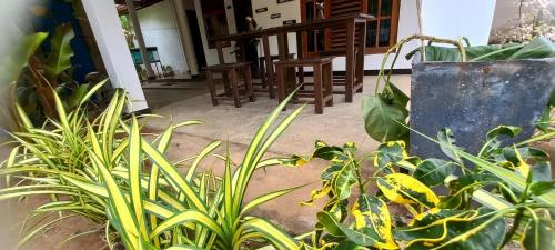 Eco home stay and safari