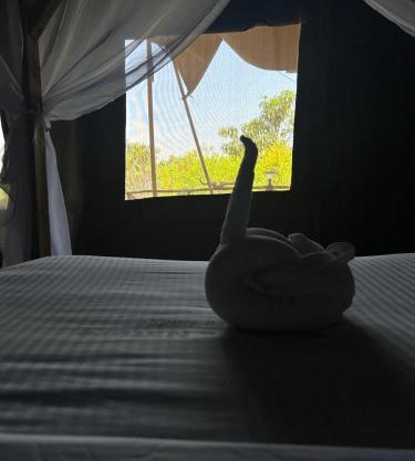 Eco Mara Tented Camp