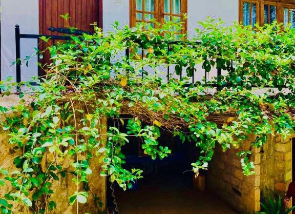 Eco Stay Accommodation