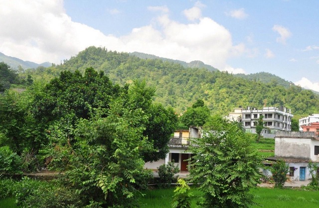 Economical Room in Tapovan