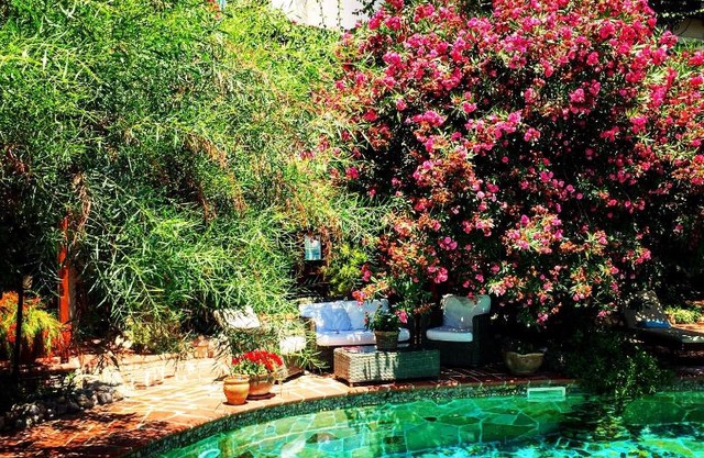 El Vino Hotel & Suites