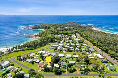 Elanora