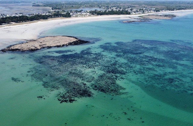 Elegant and cosy 3 star house, walking distance from the Teven beach