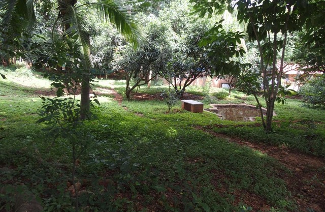Elephant Country Homestay