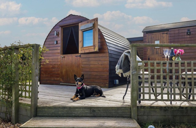 EMBDEN POD AT BANWY GLAMPING, pet friendly in Llanfair Caereinion