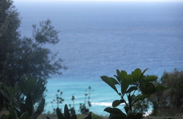 Panorama The Coast Of Gods 