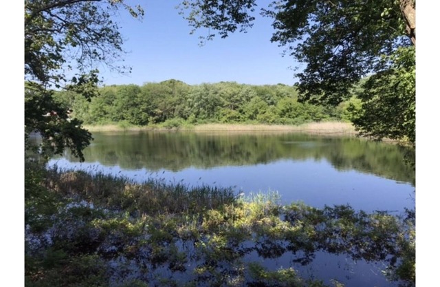 Enjoy the deck with pond view! Great Location, Rt 1A. 4 BR-all Queens, 2.5 Bath