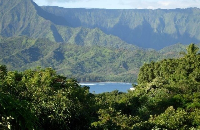 Enjoy the View - Listen to Nature - Hanalei Bay Villa #37
