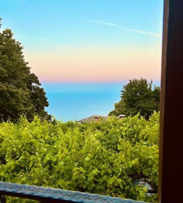 Erato's Nest - Pelion