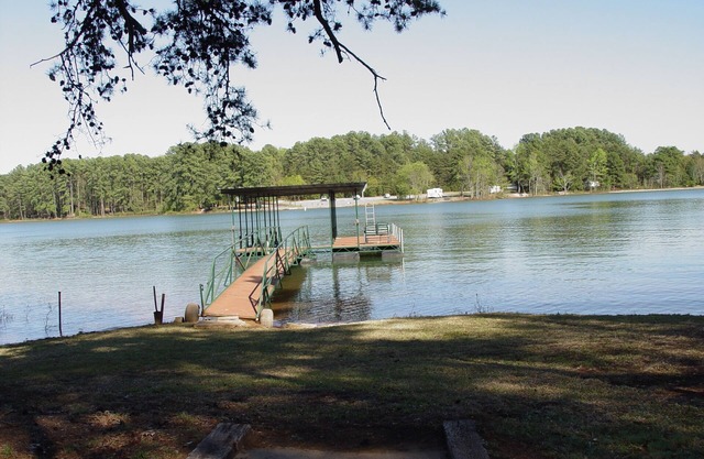 Escape From Reality private dock on Lake Hartwell