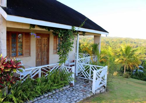 Escape to ParakeetHill B&B
