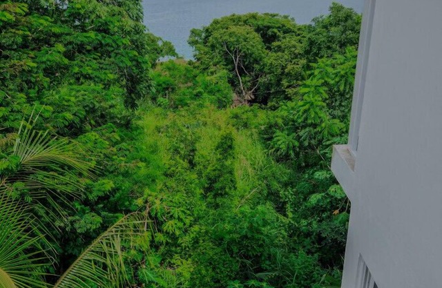 Estudio con vistas al Lago