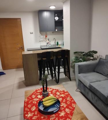 Excelente departamento en Santiago