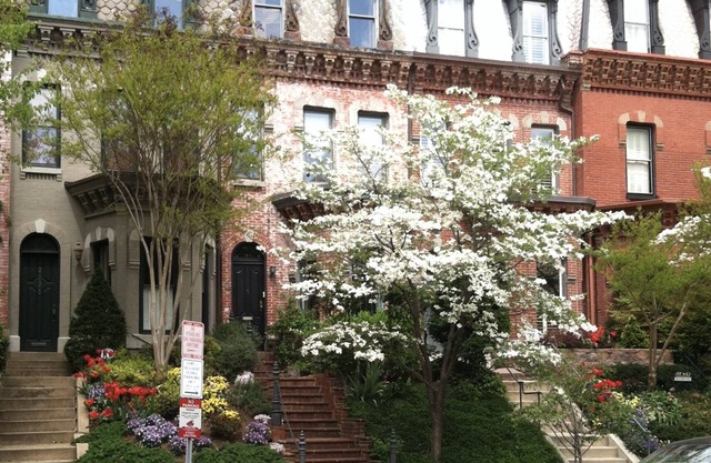 Exceptional home & location in Dupont Circle