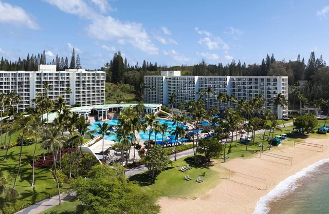 Exciting Water Adventures! Beachfront Resort! W/Pool Access & Airport Shuttle!