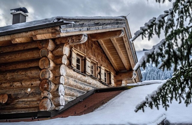 Exclusive chalets with sauna, whirlpool & fireplace - pets welcome