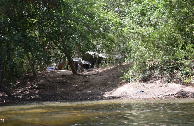 Explorer by Mahoora – Kumana National Park