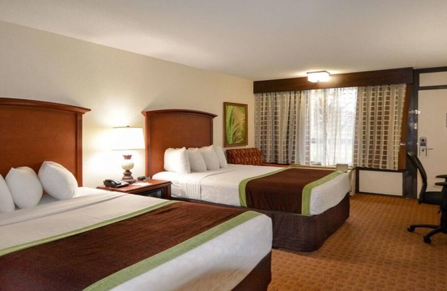 Rosen Orl Orlando 