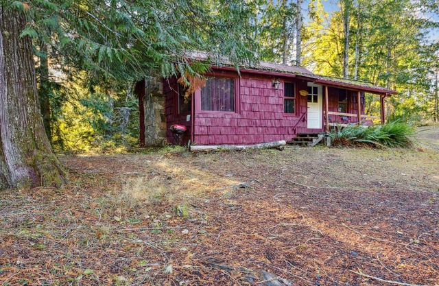 Family Cabin at Rainier Lodge -0,4 m from entrance cabin