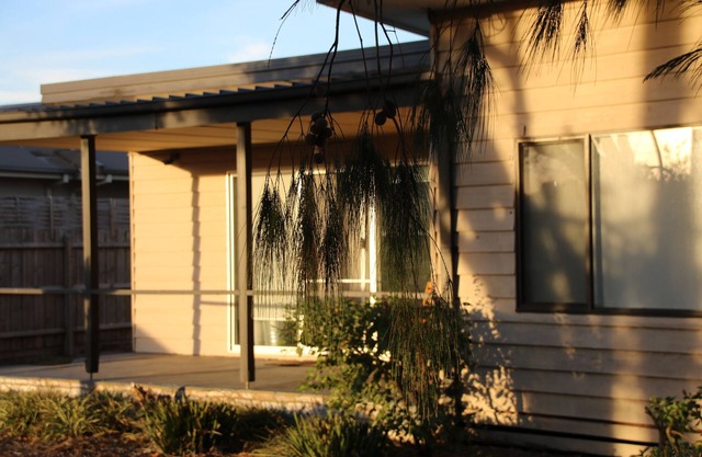 Family friendly, 5 min drive to the hot springs and a short walk to the beach.