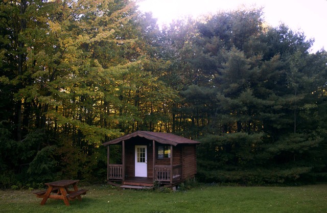Family Friendly Cabin - Sleeps 4, Hiking, Mountain Biking, Beautiful & Private