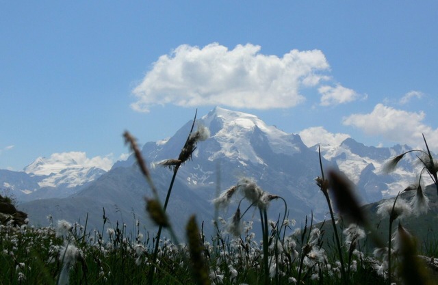 Family-friendly Ortler vacation apartment.